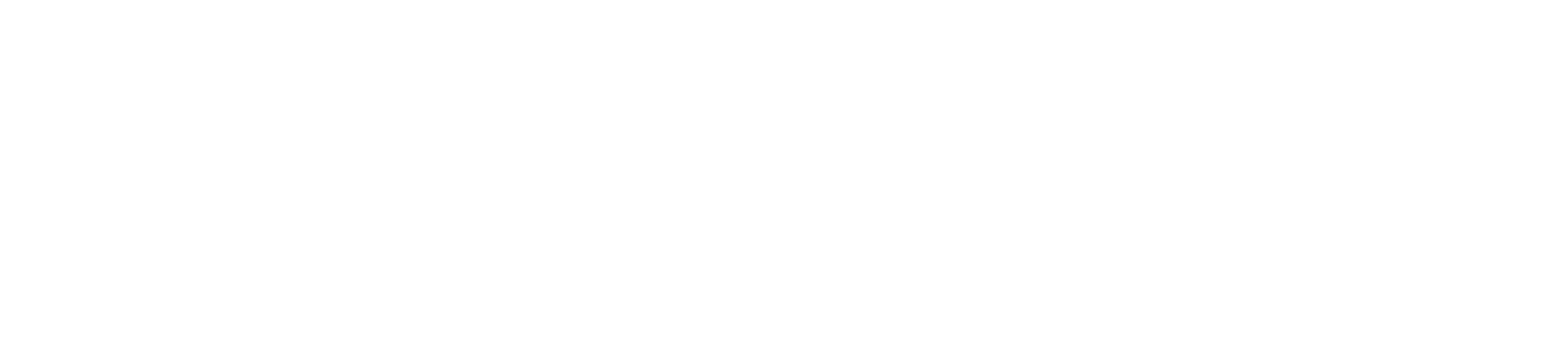 CATESIS – ETUDES D'ÉXECUTION, PROTECTION ÉLECTRIQUE TRAVAUX & MAINTENANCE CATÉNAIRES ET LAC